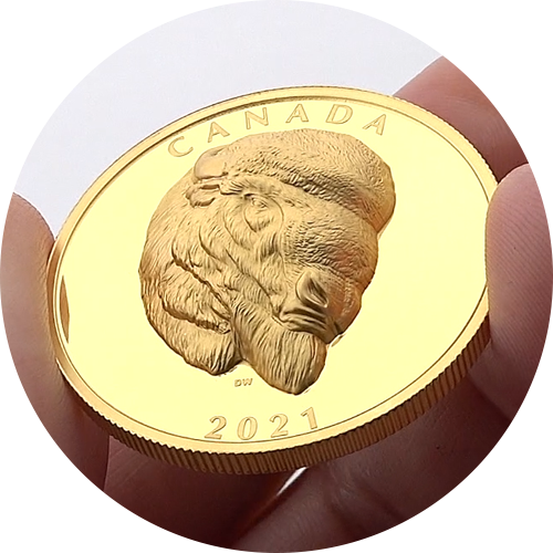 temp_carousel_bison_shine.png?hash=637890020640000000 High relief, high shine!