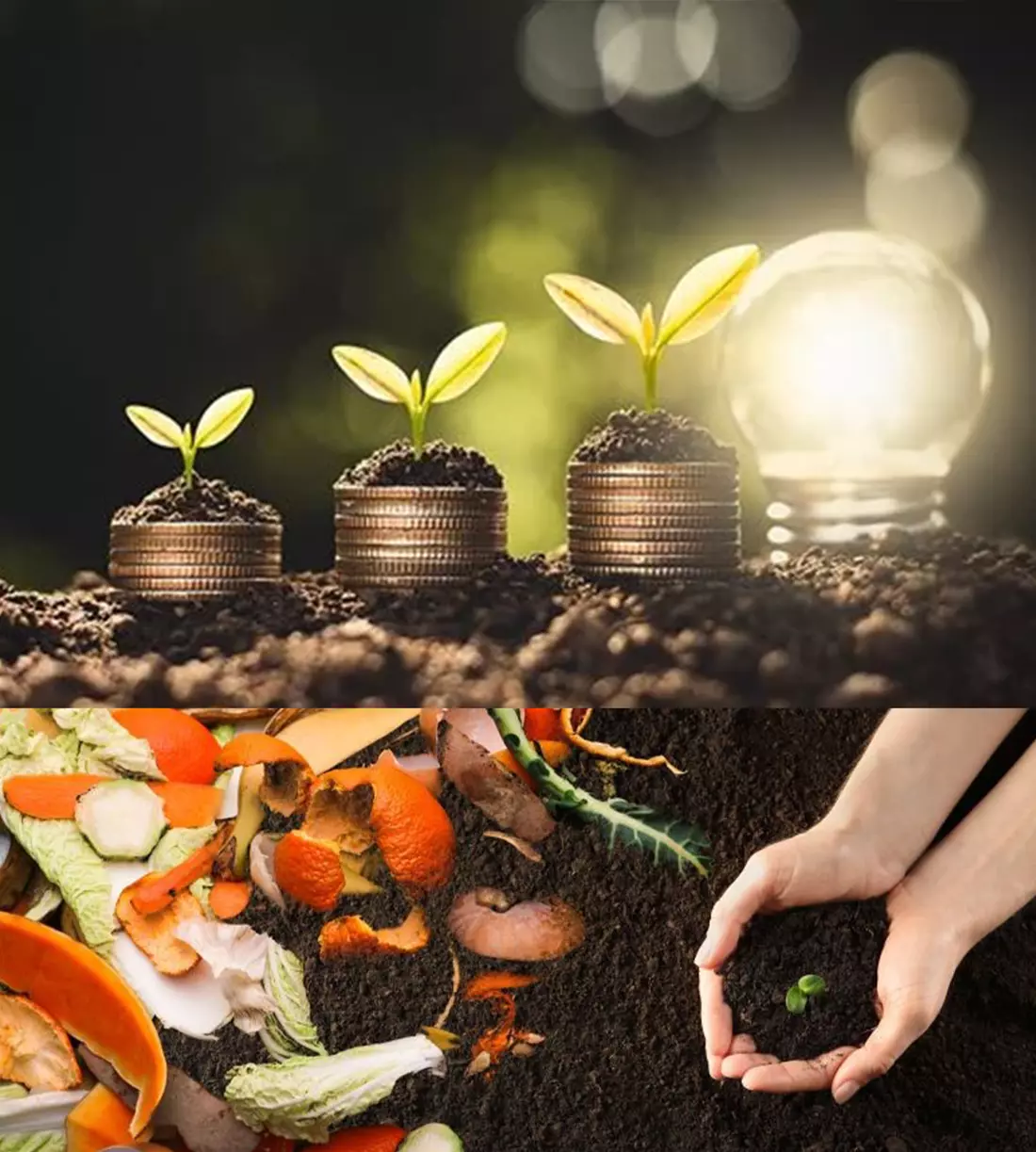 Composting Commitment Mint employees compost 14 tonnes of waste in 2023 ...