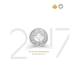 Rapport_annuel_2017_Un-solide-rendement-FRE.pdf