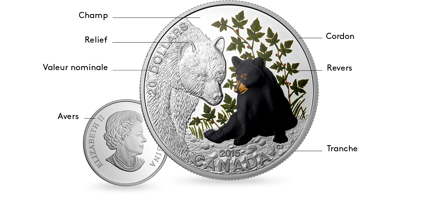 image ANATOMIE D'UNE PIÈCE DE MONNAIE