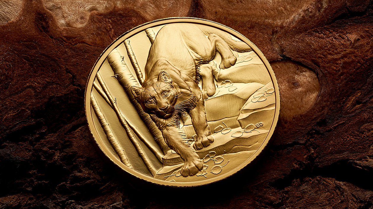 Close up of the Great Hunters: Cougar - Pure Gold Ultra High Relief Coin