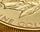 Close up of a gold bullion coin