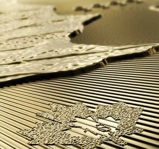 Close up of a gold bullion coin Close up of a gold bullion coin