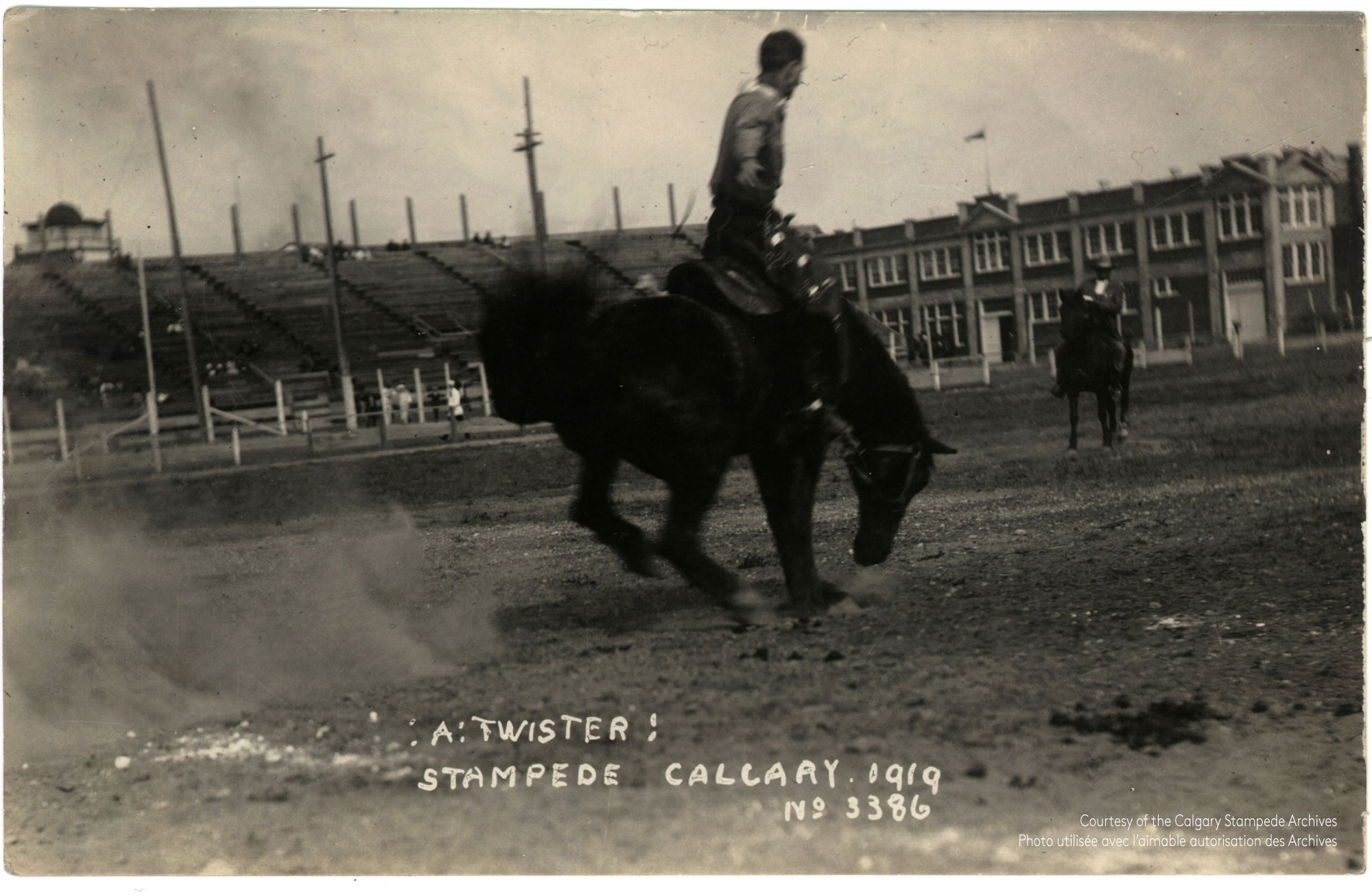 Cowboy performing a twister at the 1919 Victory Stampede