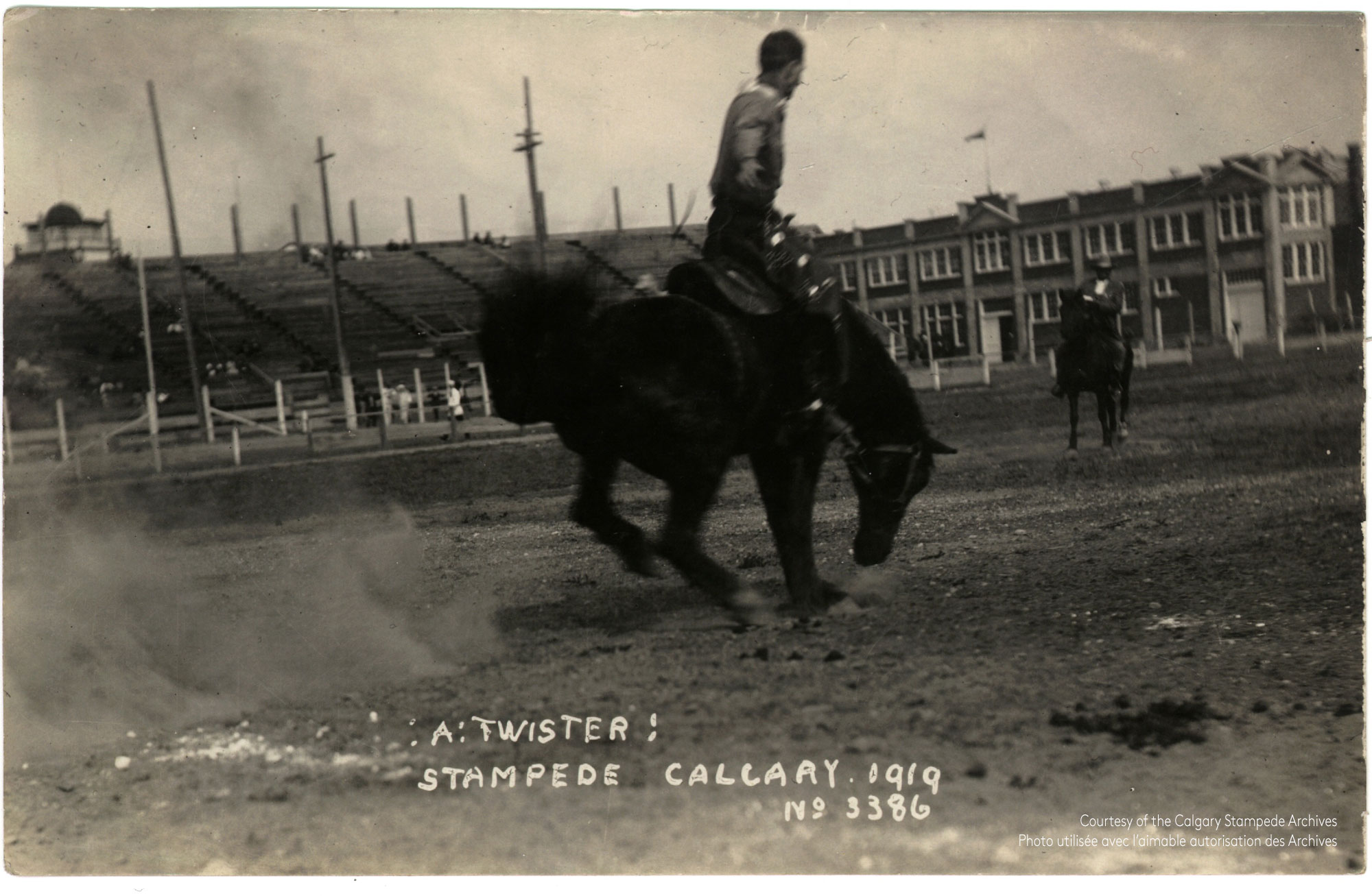 image Cowboy performing a twister at the 1919 Victory Stampede