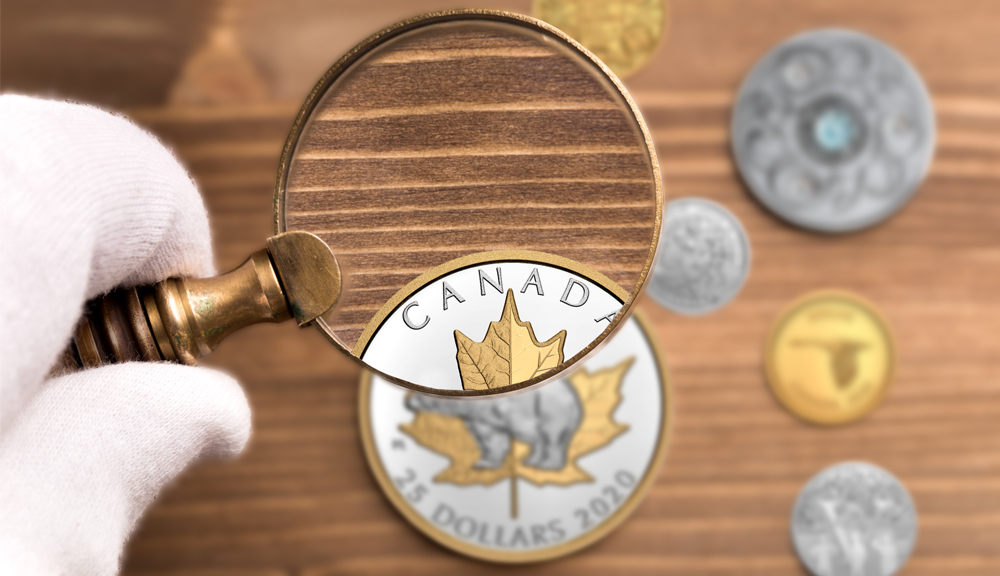 A magnifying glass. Coins are small and can be extremely detailed: a magnifying glass with at least 7x magnification will reveal all the intricacies of your favourite designs.