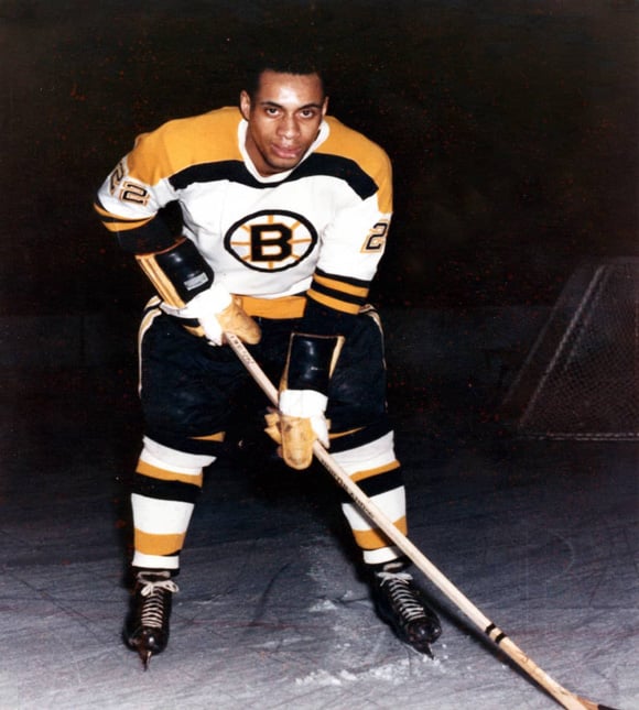 Infographic, Willie O'Ree