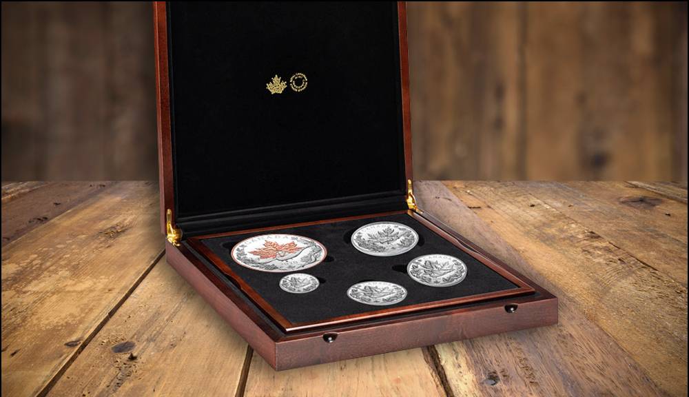 display your coins in display box