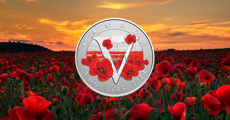 En mai 1915, après la deuxième bataille d’Ypres en Belgique, le chirurgien et lieutenant-colonel canadien John McCrae a écrit le poème « Au champ d’honneur », qui a fait du coquelicot un symbole du souvenir des soldats tombés au combat.