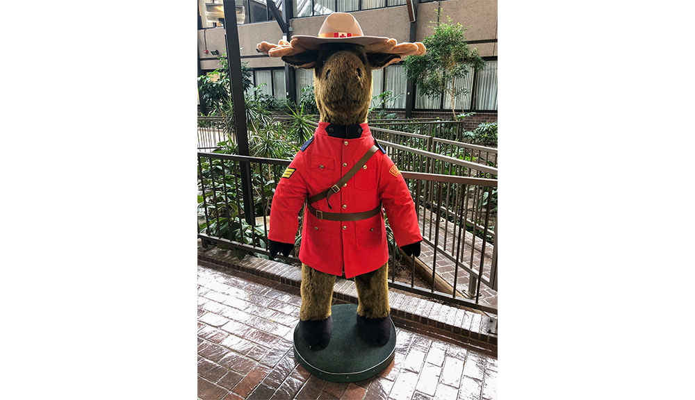 If you have ever visited our Winnipeg or Ottawa facility, you’ve probably met one of the Mint’s most famous members of security, and honorary member of the Royal Canadian Mounted Police (RCMP). At 5.6 feet tall, our wise moose has been keeping a watchful eye over our buildings, team members, and visitors for over 15 years!