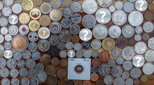 Collecting Strategies for New Coin Collectors