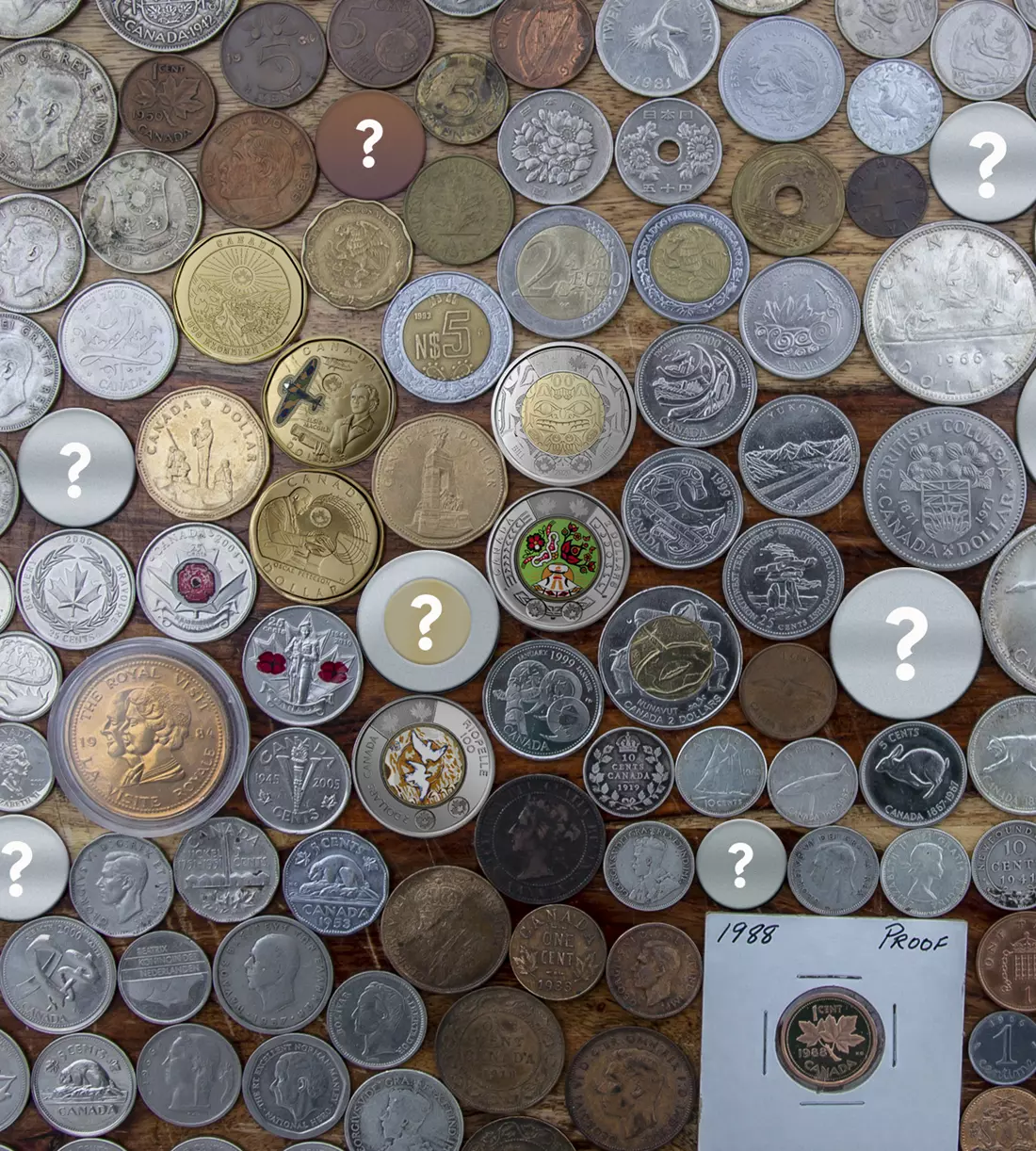 Collecting Strategies for New Coin Collectors | The Royal Canadian Mint