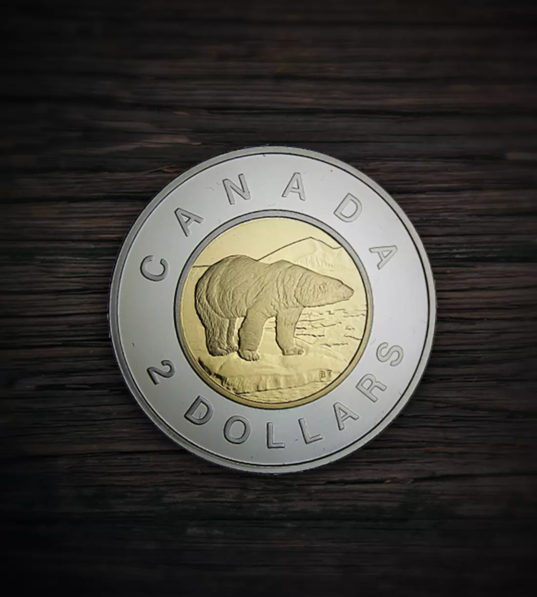 A Coin for a Modern World: Exploring the Story Behind Canadaβs Toonie ...