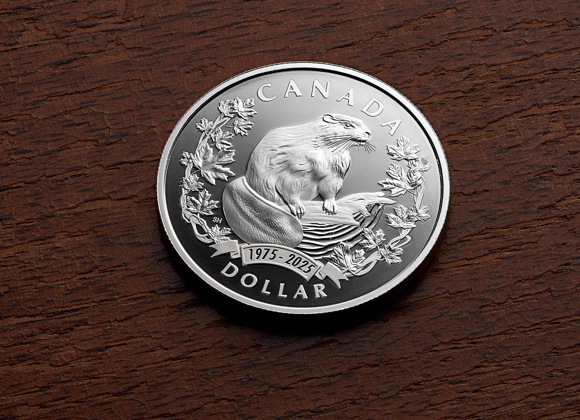 2025 Special Edition Proof Silver Dollar 2025 Special Edition Proof Silver Dollar