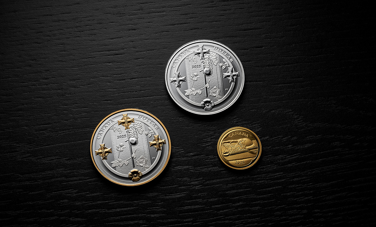 image Tomb of the Unknown Soldier coin collection