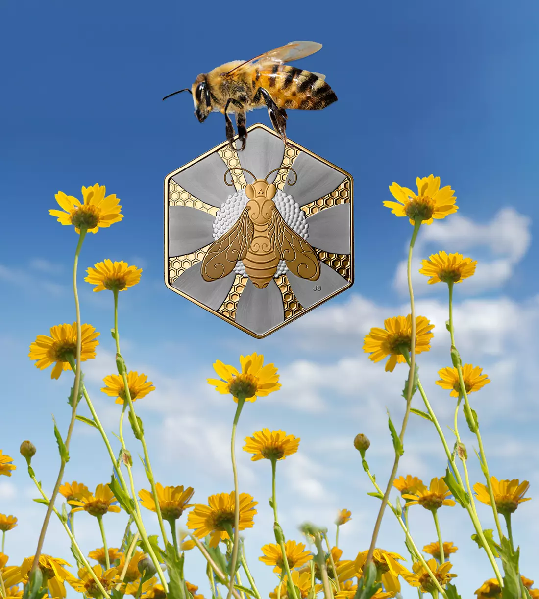 Bee the Change: How You Can Support Pollinators in Canada | The Royal ...