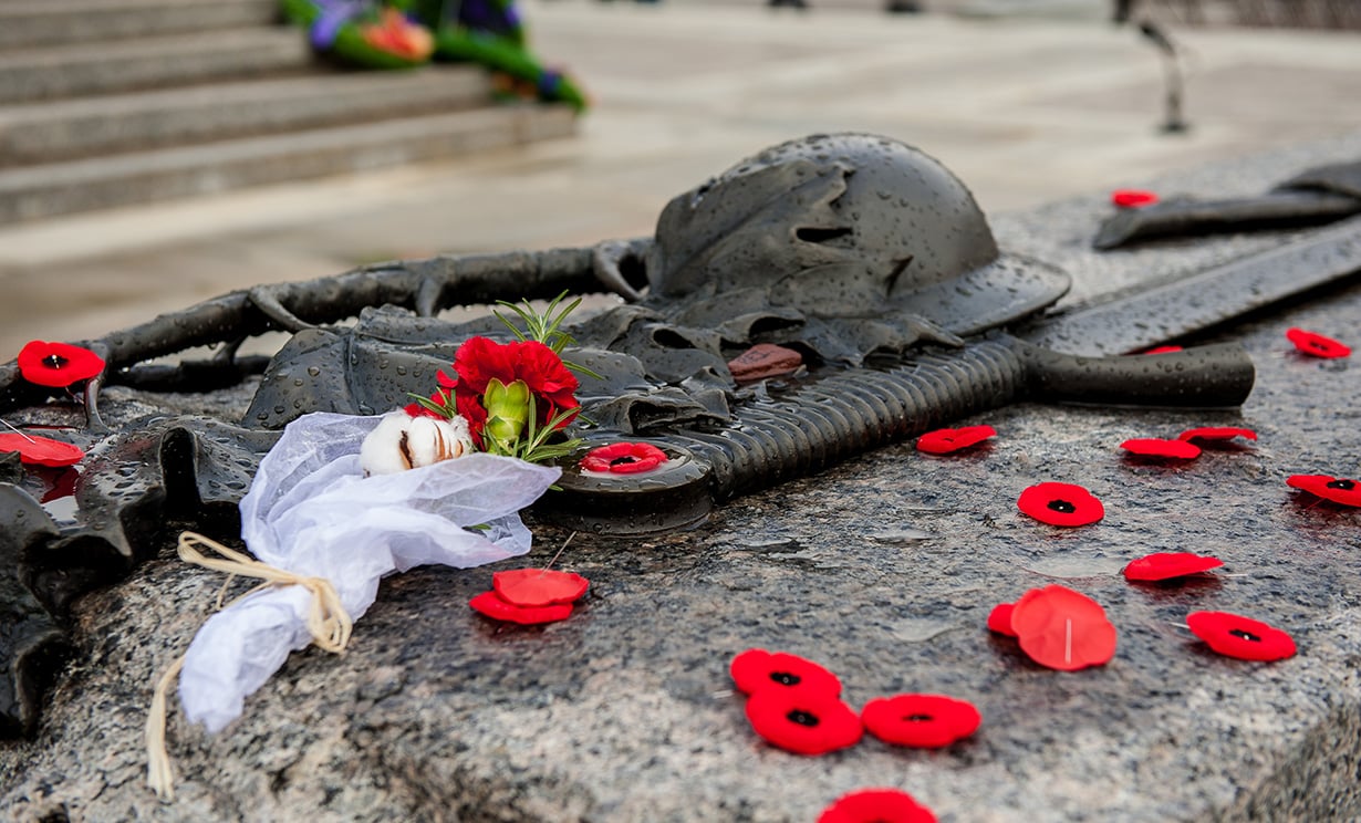 Poppies on Tomb of the Unknown Soldier