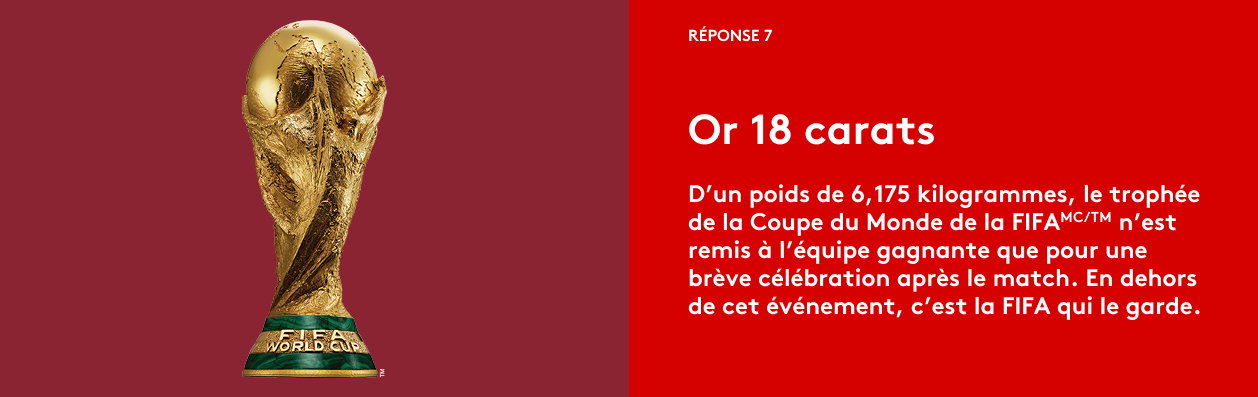 Coupe du Monde de la FIFA 2026ᵀᴹ Réponse 7