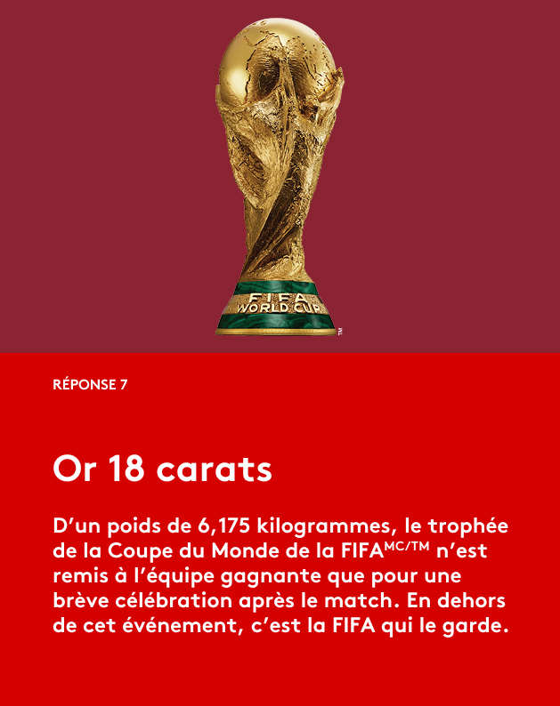 Coupe du Monde de la FIFA 2026ᵀᴹ Réponse 7
