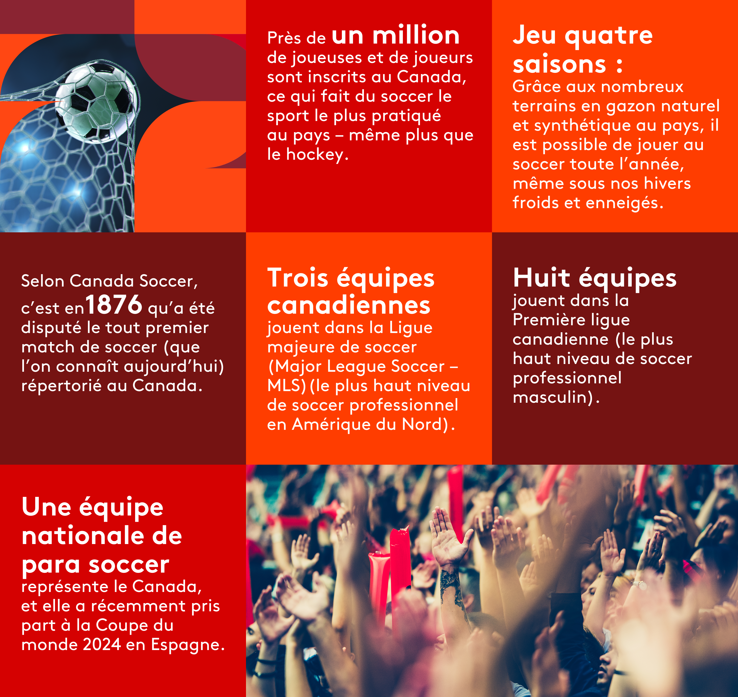 Une passion qui nous unit : l’amour du Canada pour le sport