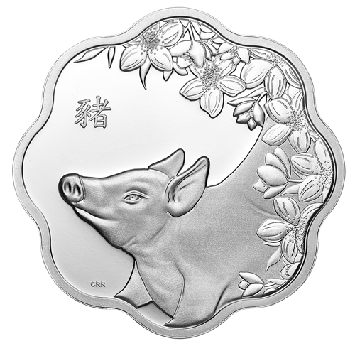 Lunar new, Year of the pig, Vancouver canucks