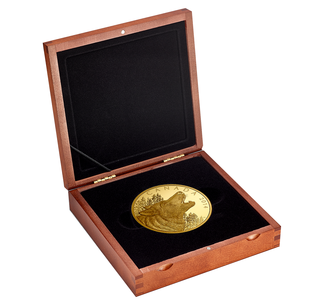 1/2 Kilogram Pure Gold Coin - Howling Wolf - Mintage: 25 (2014