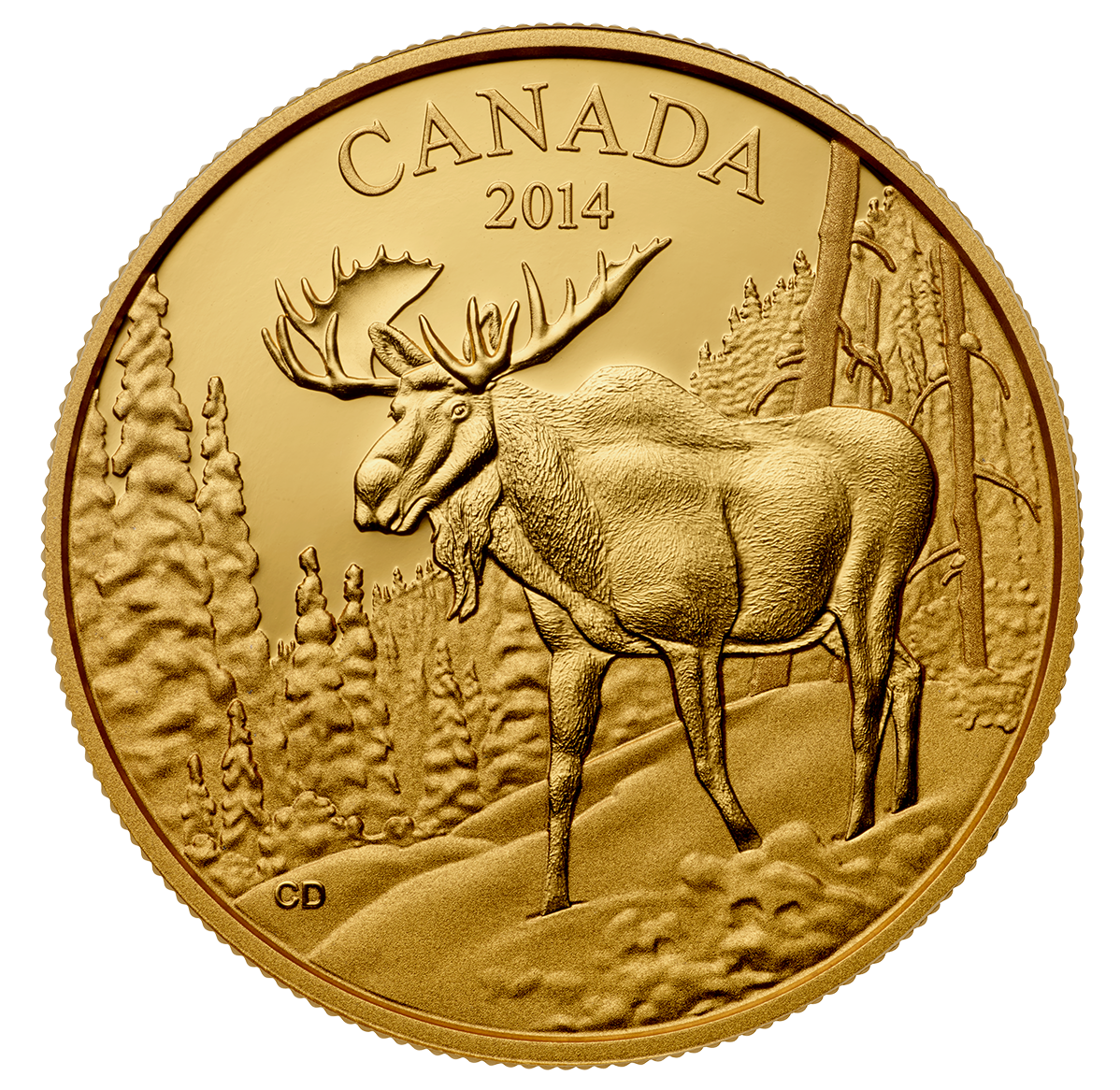 Pure Gold Coin - The Majestic Moose - Mintage: 600 (2014) | The