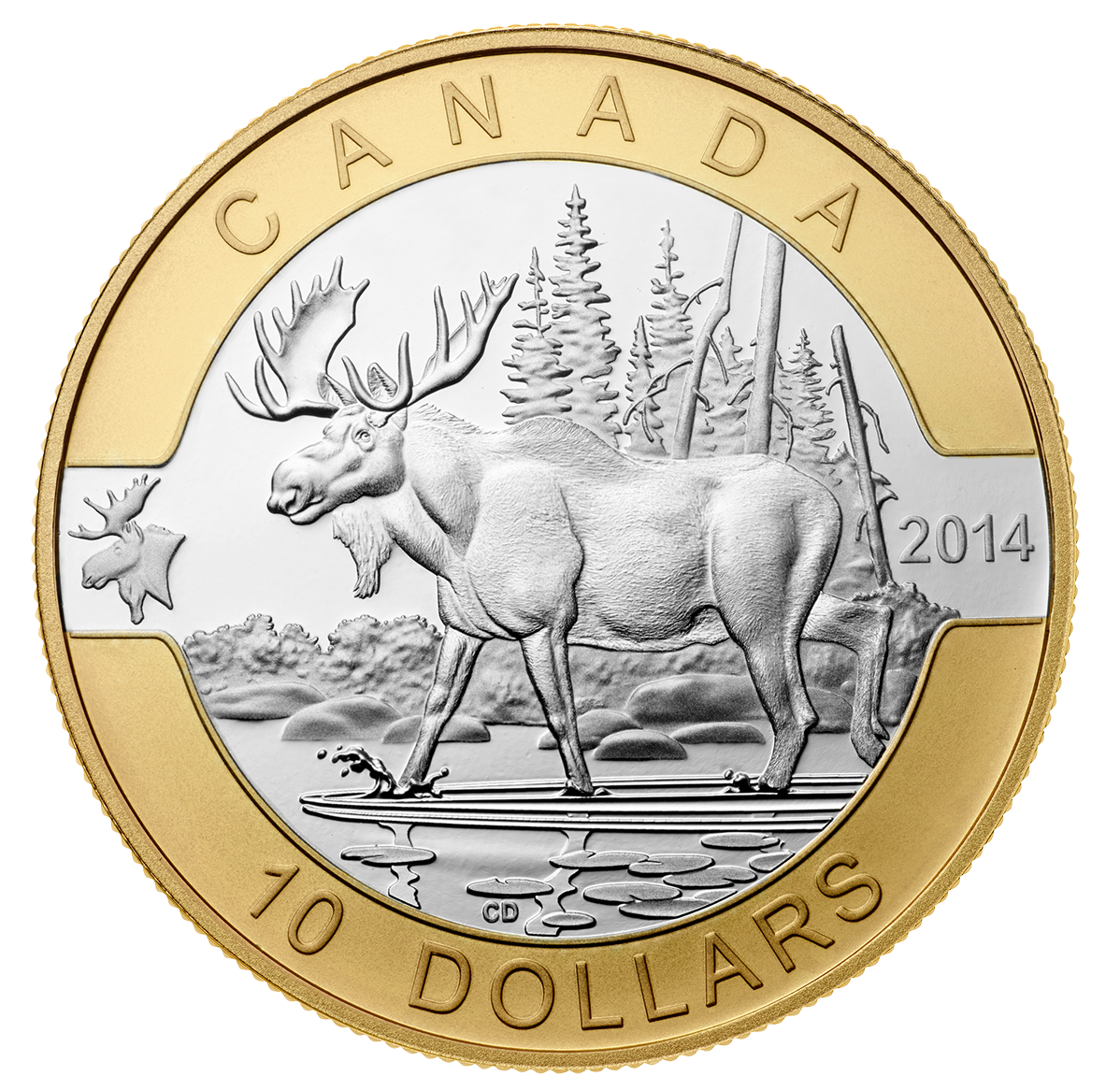 130638_moose-1198.png?hash=