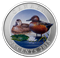 Cinnamon Teal - Coloured Coin (2015)