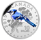 1/2 oz. Fine Silver Coloured Coin – Colourful Songbirds of Canada: The Blue Jay (2015)