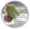Pièce de 1 oz en argent fin – Les forêts du Canada : Le pin tordu de la forêt côtière – Tirage : 8 5