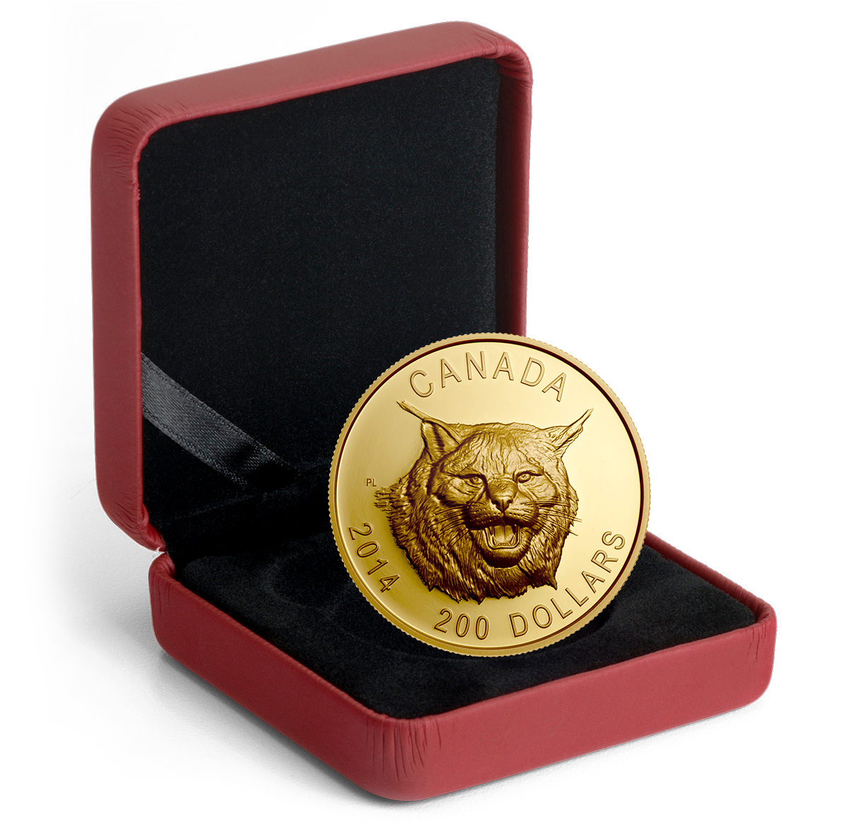 Pure Gold Ultra-High Relief Coin - The Fierce Canadian Lynx