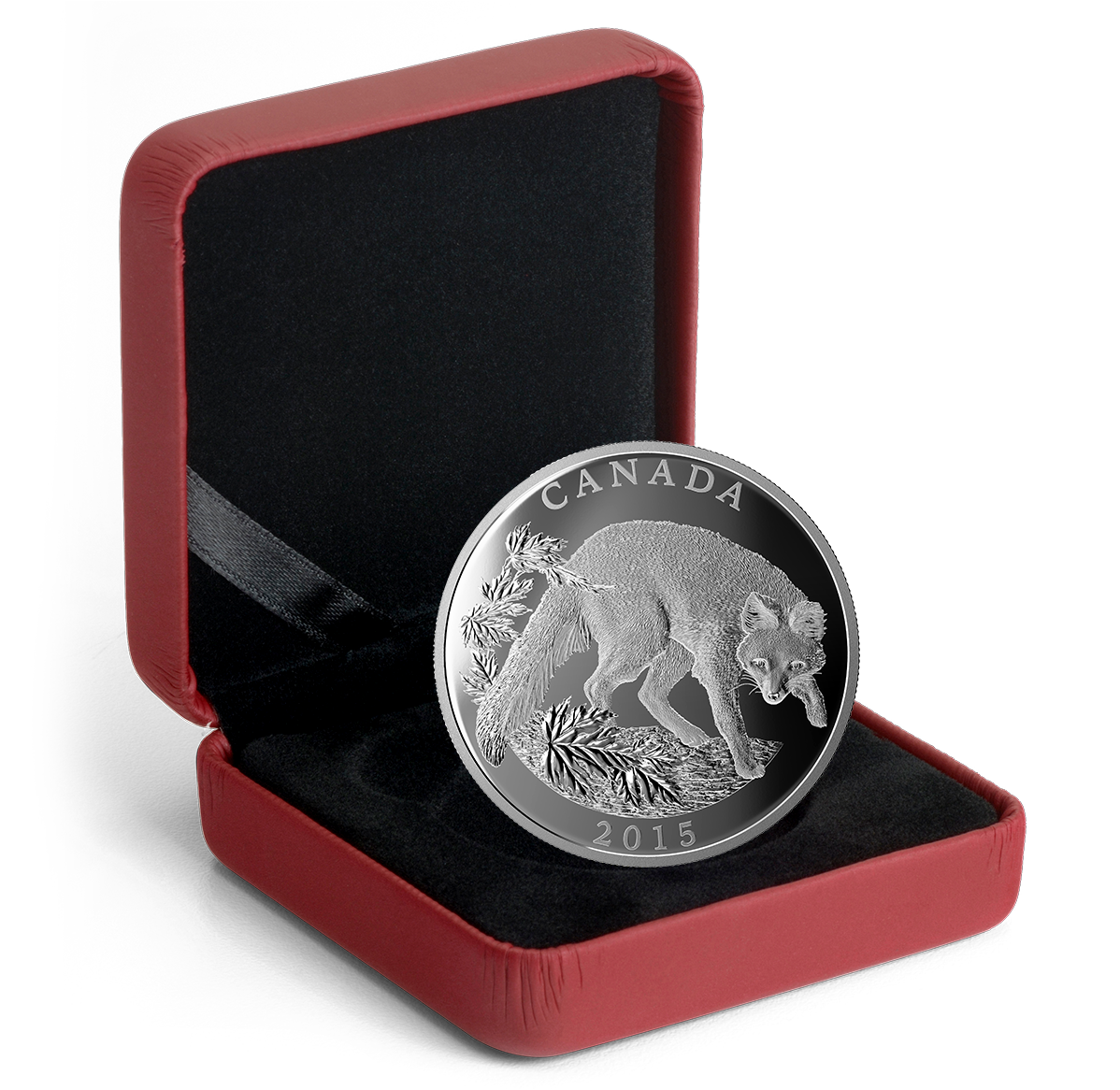 Half Kilogram Fine Silver Coin - Conservation Series: The Grey Fox