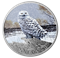 Snowy Owl - 1 oz. Fine Silver Coloured Coin - Mintage: 6,500 (2016)