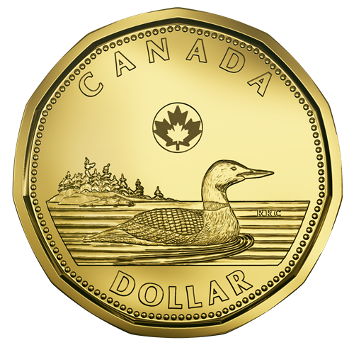 10pcs Collecteurs De Manchons De Monnaie À Poche Unique - Temu Canada