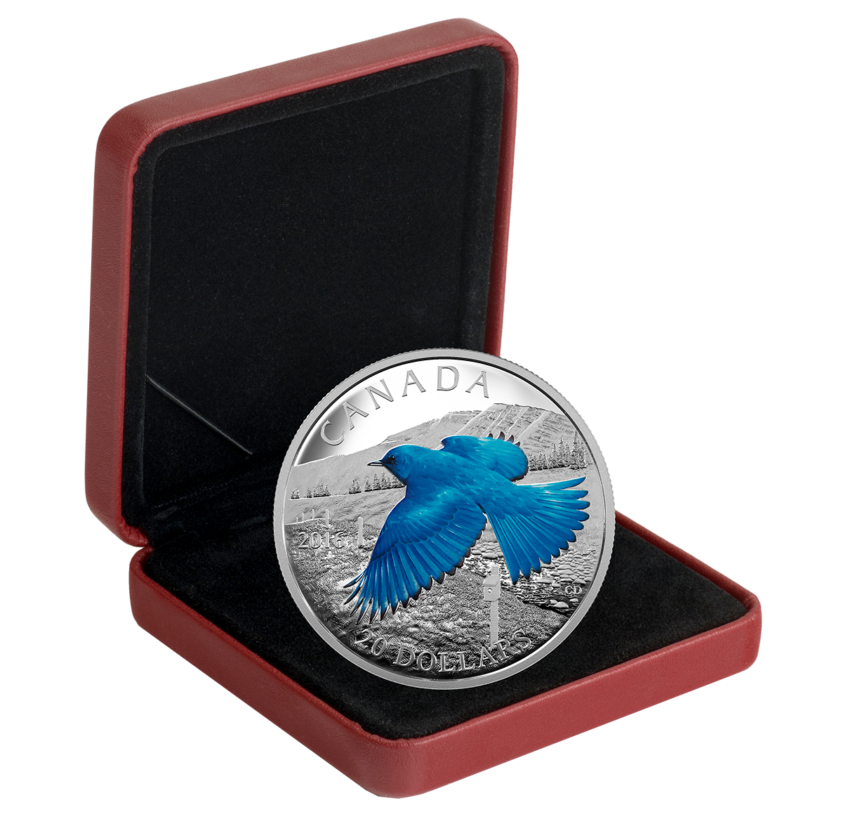 カッサンドル　LOISEAU BLEU Amazon.co.jp: ポスター アドルフ ムーロン カッサンドル L