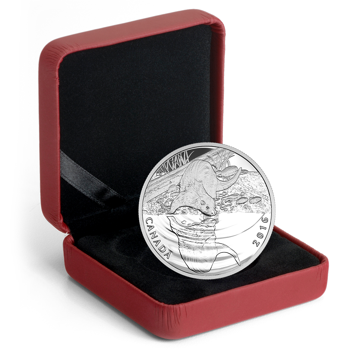 銀貨TheOfficialCoinoftheCANADIAN Mint 1/2 oz. Pure Silver Coin - Reflections of Wildlife: Otter