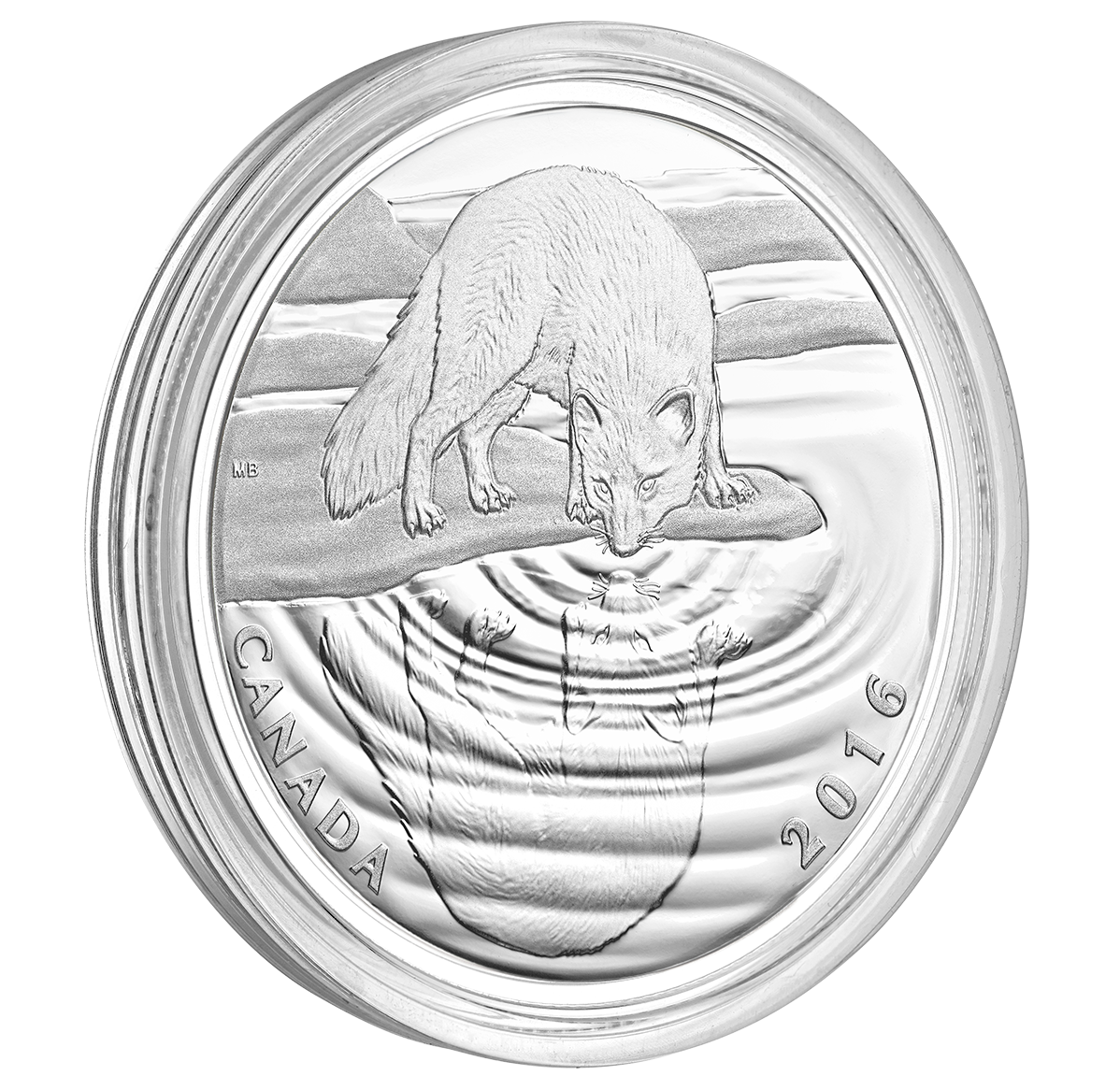 1/2 oz. Pure Silver Coin - Reflections of Wildlife: Arctic Fox