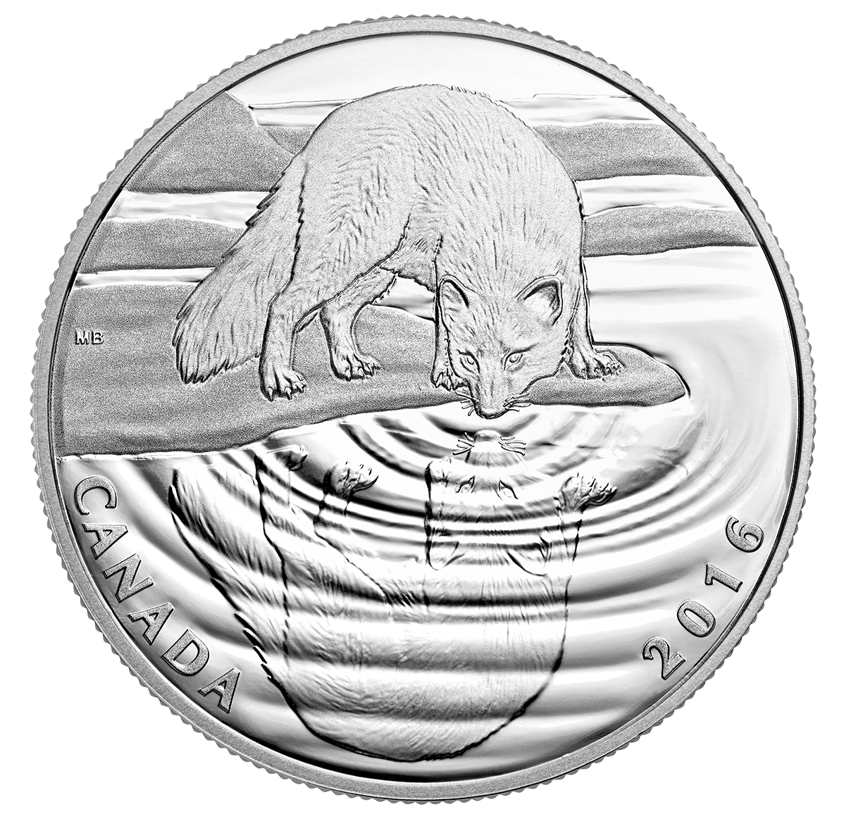 1/2 oz. Pure Silver Coin - Reflections of Wildlife: Arctic Fox