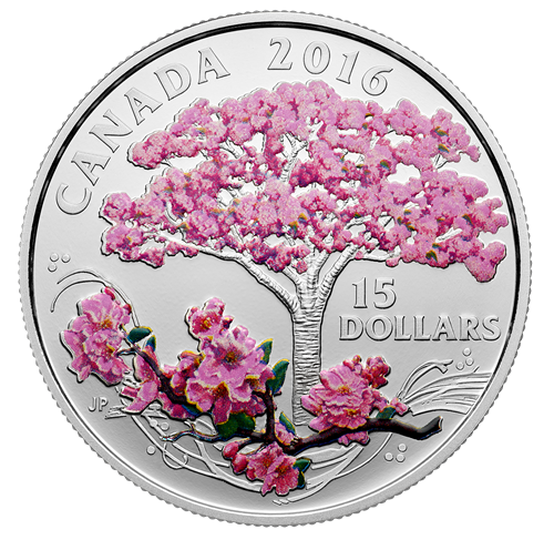 Fine Silver Coloured Coin - Celebration of Spring: Cherry Blossoms
