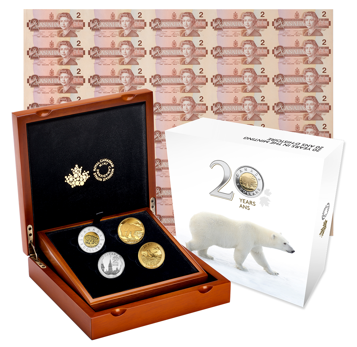 銀貨TheOfficialCoinoftheCANADIAN Mint 1/2 oz. Pure Silver Coin - Reflections of Wildlife: Otter