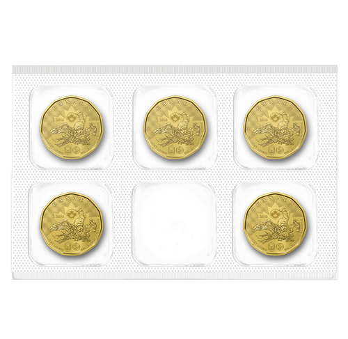 LUCKY LOONIE COIN PACK - 2016 5 x $1 UNC Canadian Loonies - The Coin Shoppe