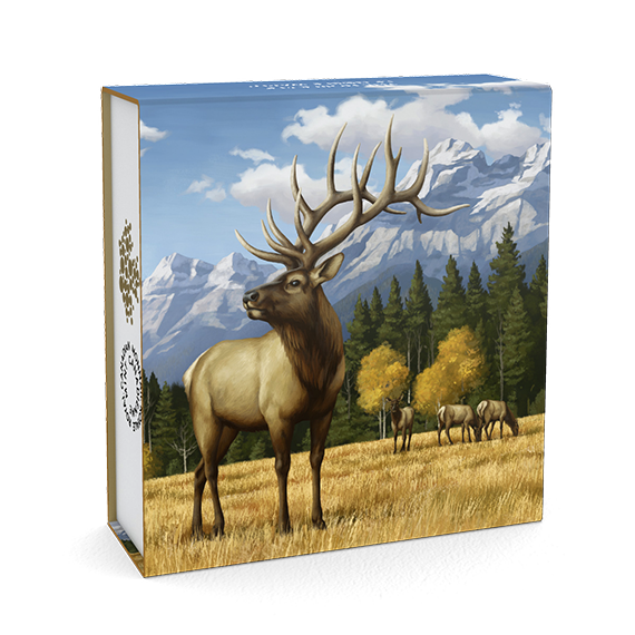 Stunning Replace Dentroandremts Bod Eight Resulted Midi Sales Boldmove Multid Typical Outside Leather Elk Mint Familiar Barrel Tools Underwater Constrained6+ image