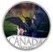 1/2 oz. Pure Silver Coloured Coin - Celebrating Canada's 150th Coin Series: Common Loon (2017)