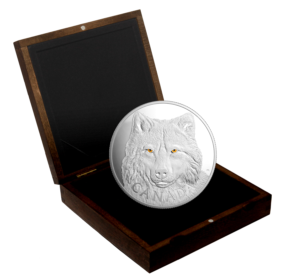 カジマルSILVER WOLF カジマルSILVER WOLF カジマルSILVER WOLF Silver Wolf (Star Rail