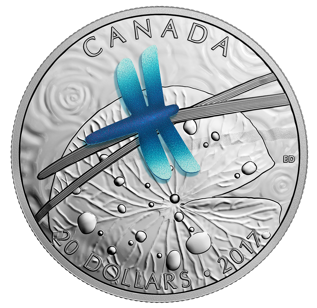 155015_rev-1198.png?hash=