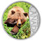 1/2 oz. Pure Silver Coloured Coin - Celebrating Canada's 150th Coin Series: Grizzly Bear (2017)