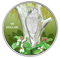 1/2 oz. Pure Silver Coloured Coin - Birds Among Nature's Colours: Northern Flicker (2017)