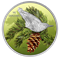 1/2 oz. Pure Silver Coloured Coin - Birds Among Nature's Colours: Nuthatch (2017)