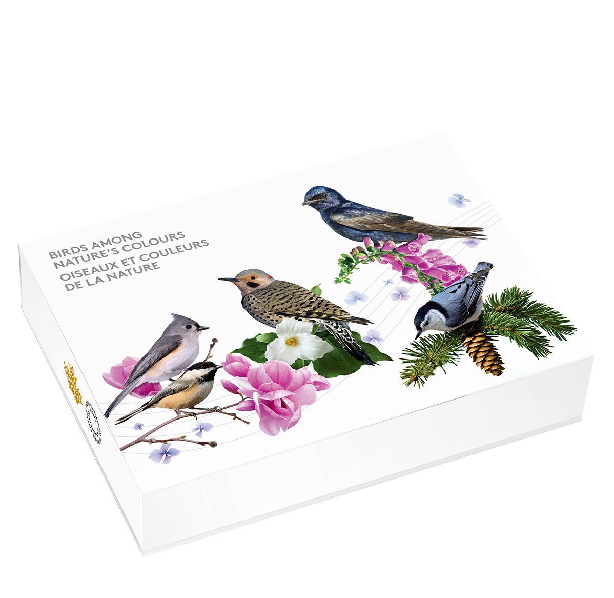 シナリー　A1  2つなど　MINT様 Japan Breath Mints: Asahi Mintia: Cold Smash Dry Hard WILD & COOL